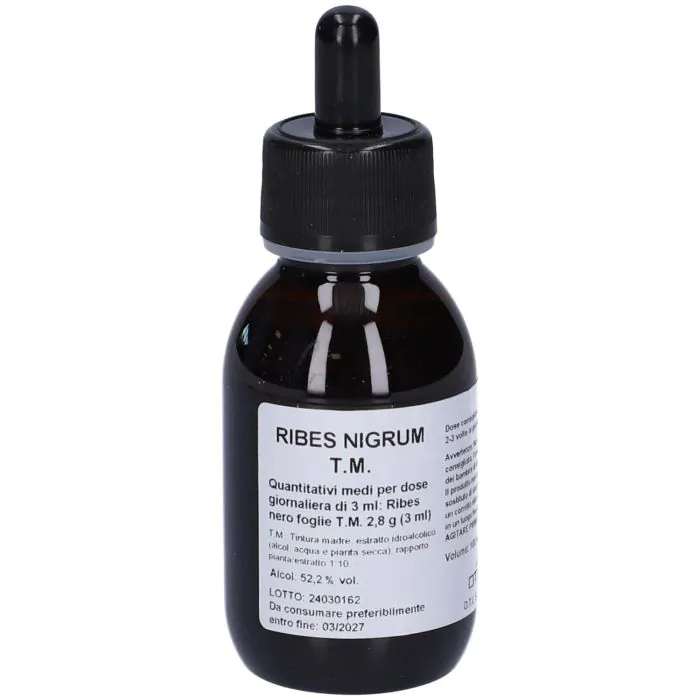 Ribes nigrum t.m.100ml oti Ribes nigrum t.m.100ml oti