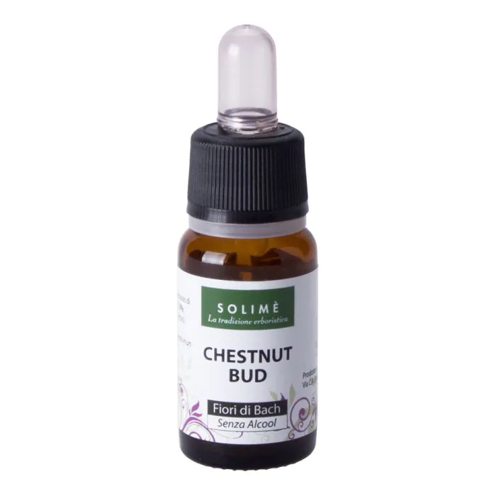 Chestnut bud 10 ml Chestnut bud 10 ml