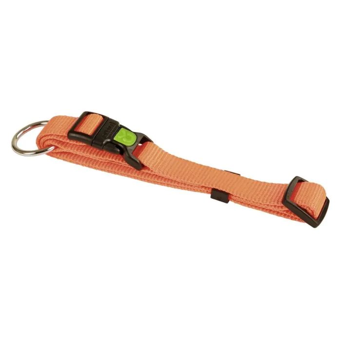 Kerbl Cane Collare Miami Regolabile 20 Mm 40-55 Cm Arancione Kerbl Cane Collare Miami Regolabile 20 Mm 40-55 Cm Arancione
