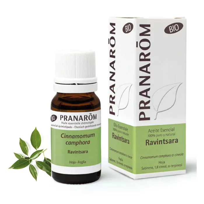 Pranarom ravintsara olio essenziale bio 10 ml Pranarom ravintsara olio essenziale bio 10 ml