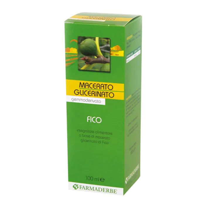 Macerato glicerico fico gemme ficus carica 100 ml