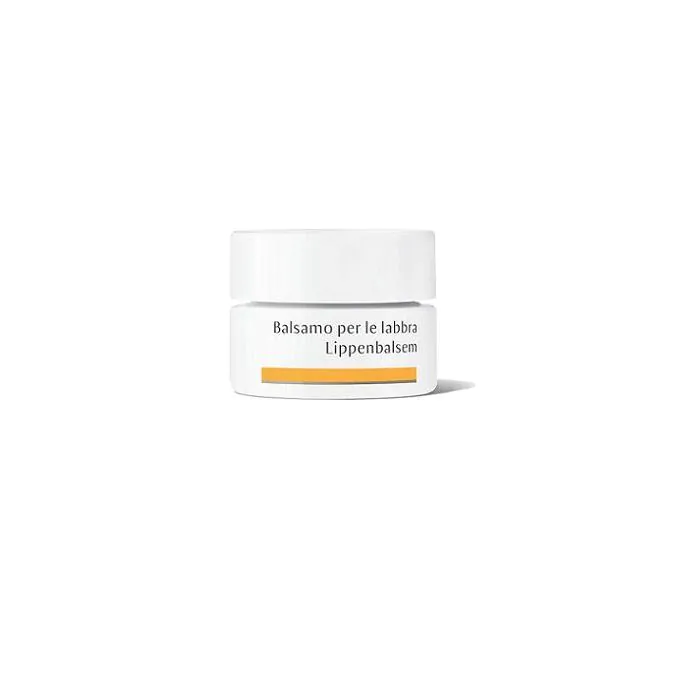 Dr Hauschka Balsamo Labbra 4,5 G Dr Hauschka Balsamo Labbra 4,5 G