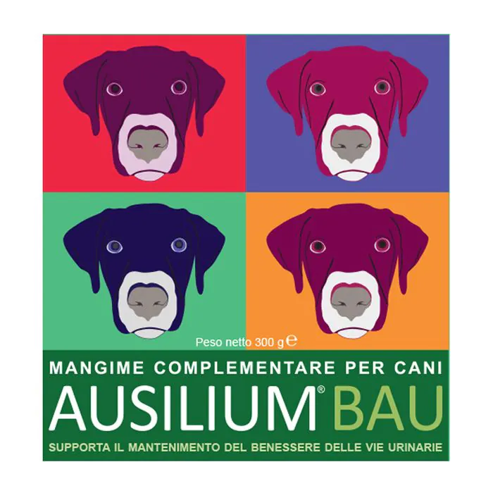 Ausilium Bau 300 G Con Misurino Ausilium Bau 300 G Con Misurino