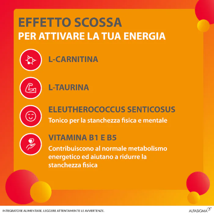 Carnidyn Boost Pronta Energia 10 Flaconcini