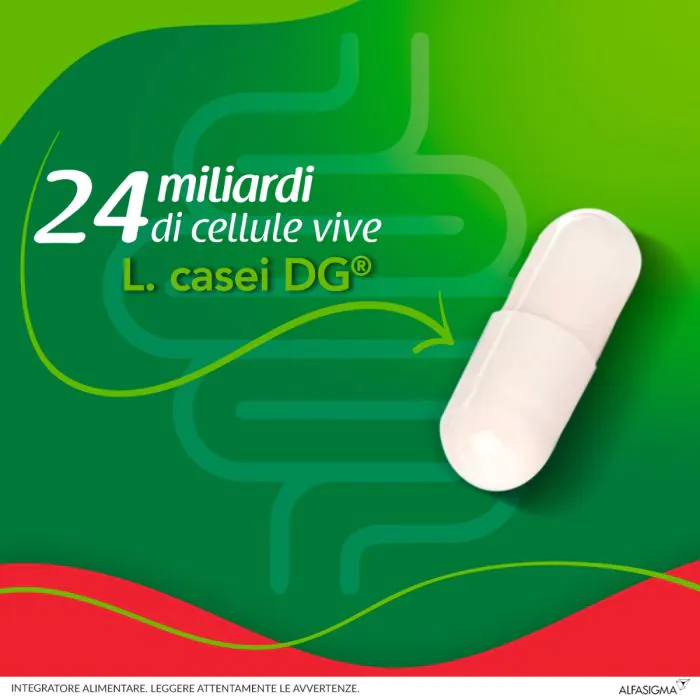 Enterolactis Plus Integratore Fermenti Lattici 15 Capsule