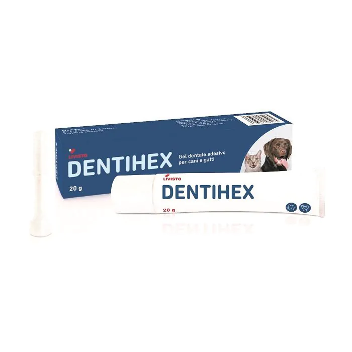 Dentihex Gel Dentale Adesivo Per Cani E Gatti 20 G Dentihex Gel Dentale Adesivo Per Cani E Gatti 20 G