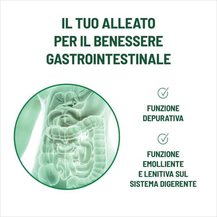 Equilibra Aloe Detox Zero Depurativo 12 Stick
