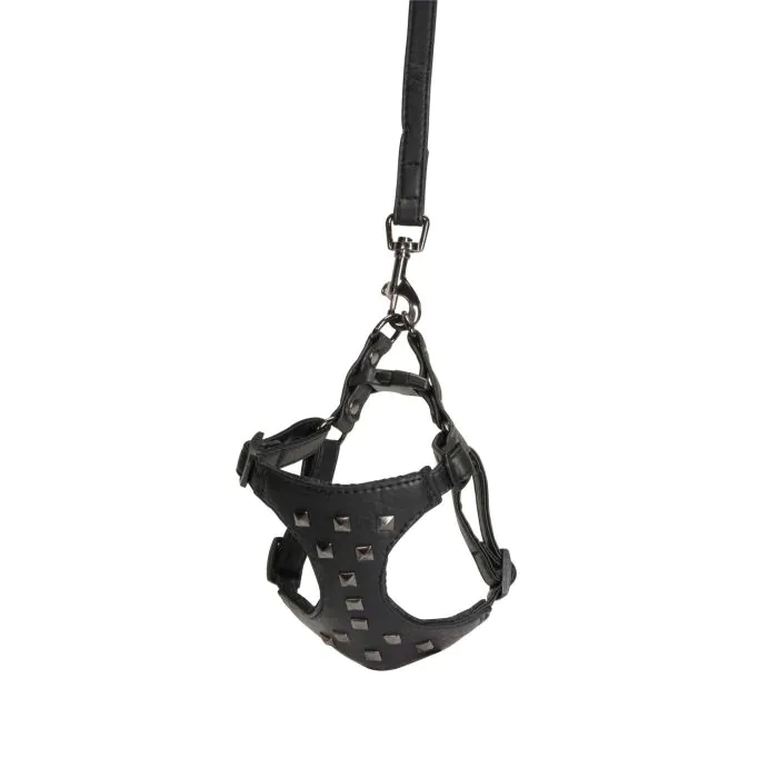 Camon Cane Parure Pettorina + Guinzaglio Similpelle Con Borchie 15 Mm X 120 Cm Tg. Small Nero Camon Cane Parure Pettorina + Guinzaglio Similpelle Con Borchie 15 Mm X 120 Cm Tg. Small Nero