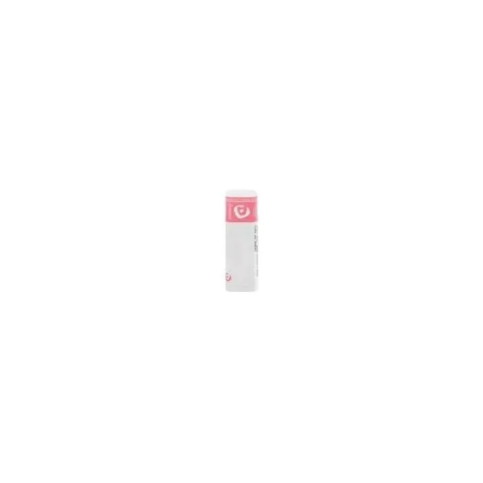 Silicea 6lm gr Silicea 6lm gr
