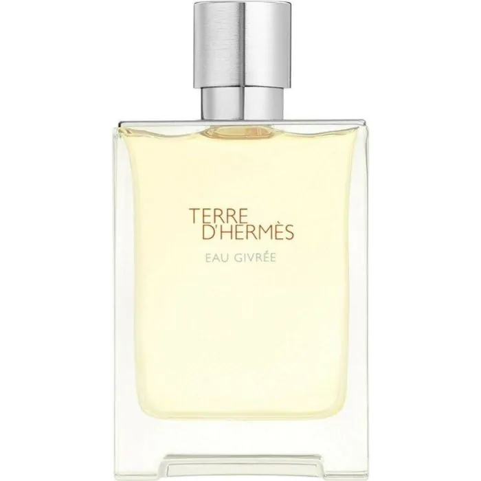 HERMES TERRE EAU GIVREE EDP 100 CO HERMES TERRE EAU GIVREE EDP 100 CO