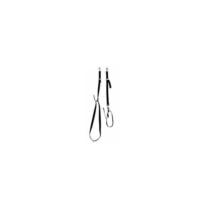 Tools-2-Groom Set Guinzaglio Collare E Fascia Pancia Tools-2-Groom Set Guinzaglio Collare E Fascia Pancia