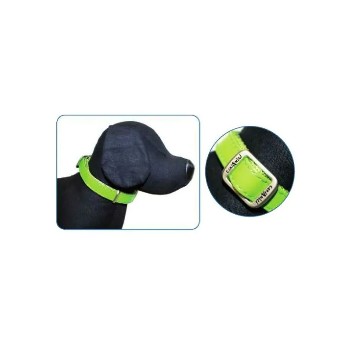 Collare Similpelle Glossy Regolabile 26-40 Cmx15Mm Verde