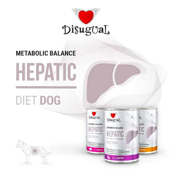 Disugual Cane Diet Hepatic Maiale 400 Gr