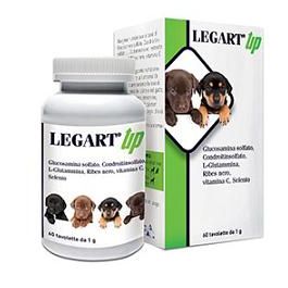 Legart Up 60cpr