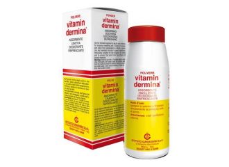 Vitamindermina polvere 100g