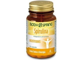 Body spring spirulina 50cps