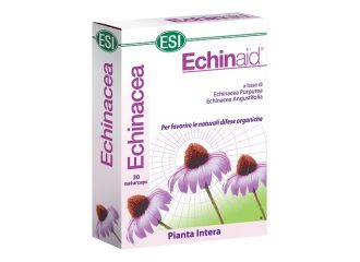 Echinaid alta potenza 30 cps