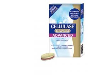 Cellulase gold advanced 40 cpr