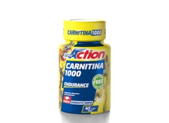 Proaction carnitina1000 45 cpr