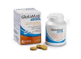 Glutamax fte  40 cpr