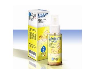 Ledum comp spray 60ml homeoph