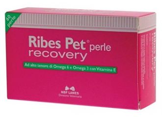 Ribes pet recovery 60 perle