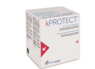 Kprotect 120 cpr mast.