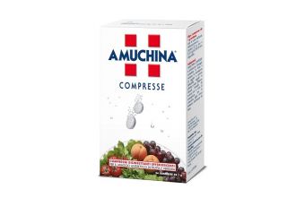 Amuchina 24 cpr 1g