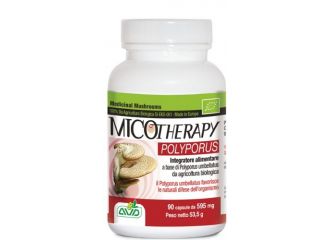 Micotherapy polyporus 90cpsavd