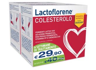 Lactoflorene colesterolo bipack (40 bustine)