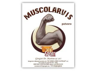 Muscolarvis vitaminsport 500g