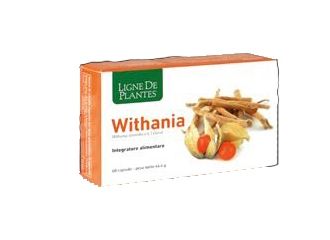 Withania 60 cps nse