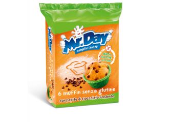 Mr day muffin ciocc.6x42g