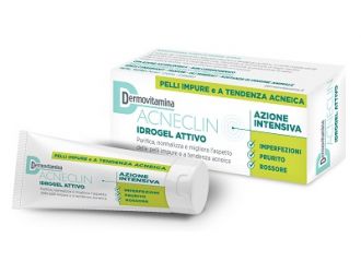 Dermovitamina acneclin idrogel
