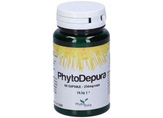Phytodepura 60 capsule