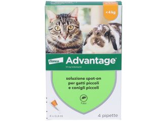 Advantage Antiparassitario Spot-On Gatti E Conigli Piccoli Peso Fino a 4 kg 4 Pipette 0,4 ml
