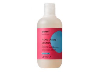 Goovi shampoo orange 250ml