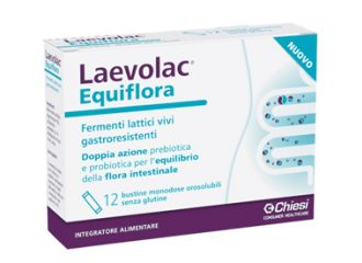 Laevolac equiflora 12 buste