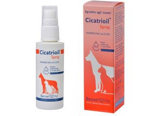 Cicatriol spray 50ml