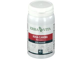 Rosa Canina 60 Capsule 400 Mg
