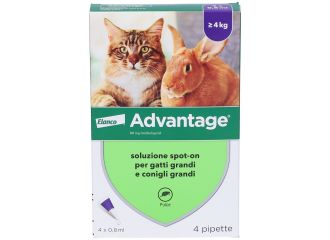 Advantage Antiparassitario Spot-On Gatti E Conigli Grandi Peso Oltre 4 kg 4 Pipette 0,8 ml