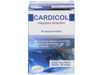 Cardicol 60 capsule 500mg