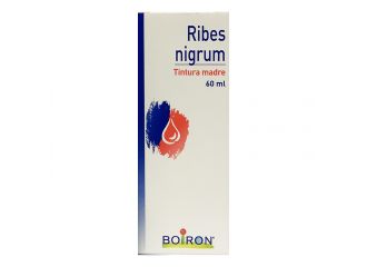 Ribes nigrum 60ml tm