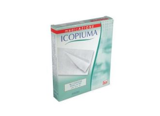 Icopiuma cpr st.tnt 10x10x 16