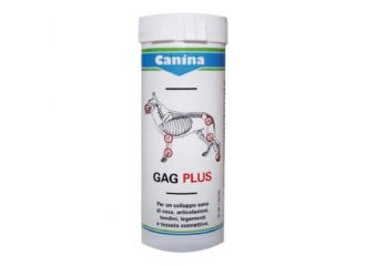 Gagplus 100 ca.60 cpr