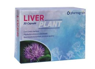 Liver plant 30 capsule
