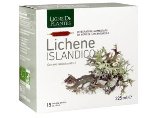 Ligne de plantes lichene islandico 15 ampolle x 15 ml