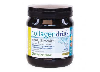 Collagen drink limone 295g