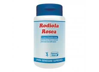 Rhodiola rosea 50 cps np