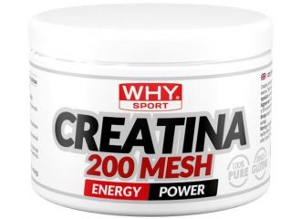 Whysport creatina 200 mesh 200 g